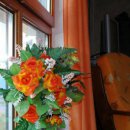 Hotel Esperia Piombino (LI)