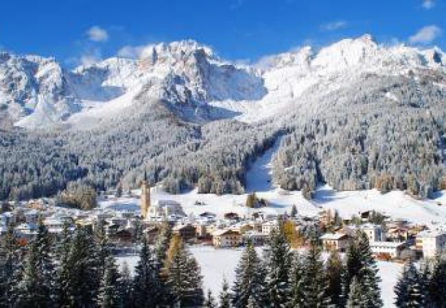 Consorzio turistico Val Comelico - Comelico Superiore (BL)