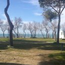 Camping Bocche D'Albegna Albinia (GR)