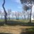 Camping Bocche D'Albegna - Albinia (GR) Foto 12