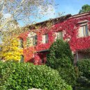 La Pergola Casole d'Elsa (SI)