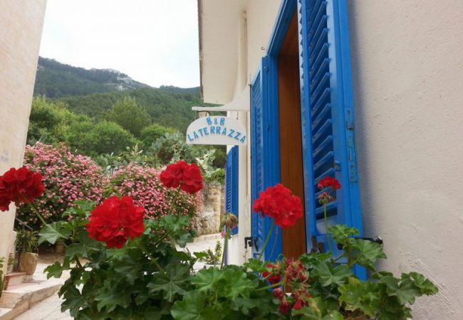 La Terrazza Marettimo - Marettimo (TP)