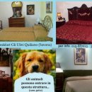 Gli Ulivi Quiliano (SV)