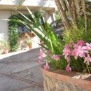 Amarcord Frascineto (CS)