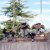 Relais Nadyne Frascati (RM)