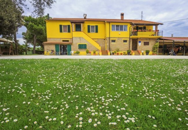 Centro Ippico Andrea B&B - Potenza Picena (MC)