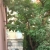 Bed and Breakfast Villa Rosa - Turin (TO) Foto 6