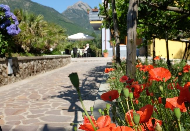 Villa Elisa - Agerola (NA)