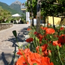 Villa Elisa Agerola (NA)